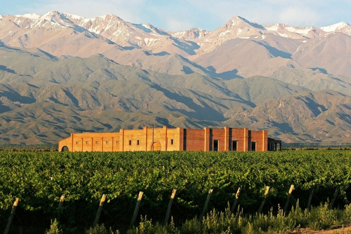 Tour privado de bodegas en Valle de Uco Mendoza