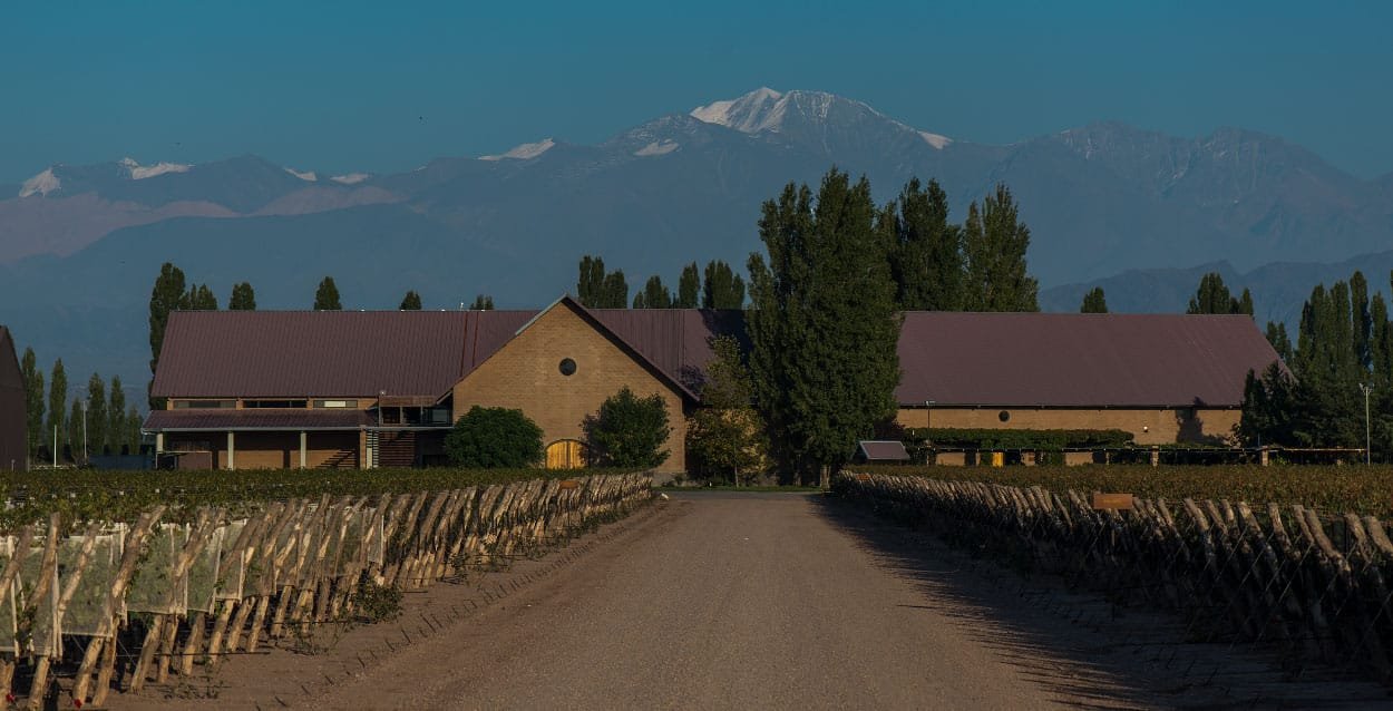Susana Balbo Wines