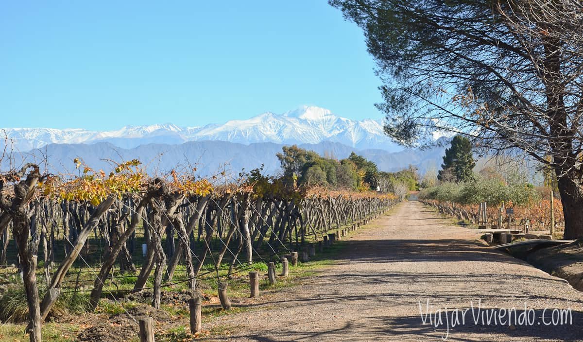 Tour privado de bodegas en Luján de Cuyo Mendoza