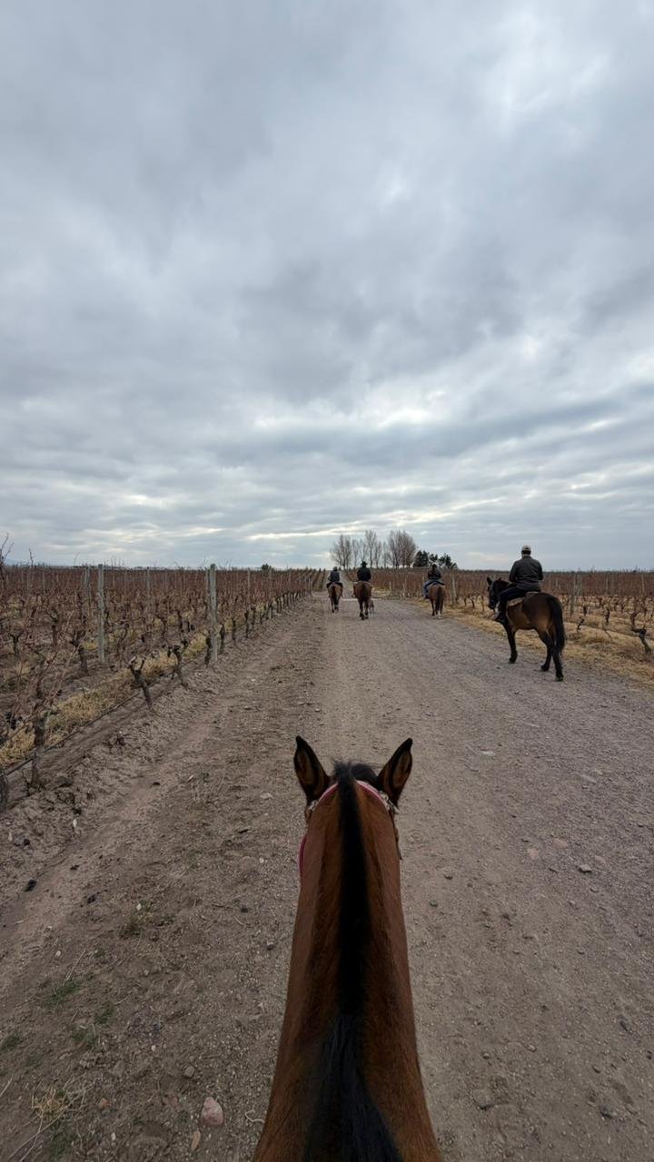Cabalgata en Mendoza